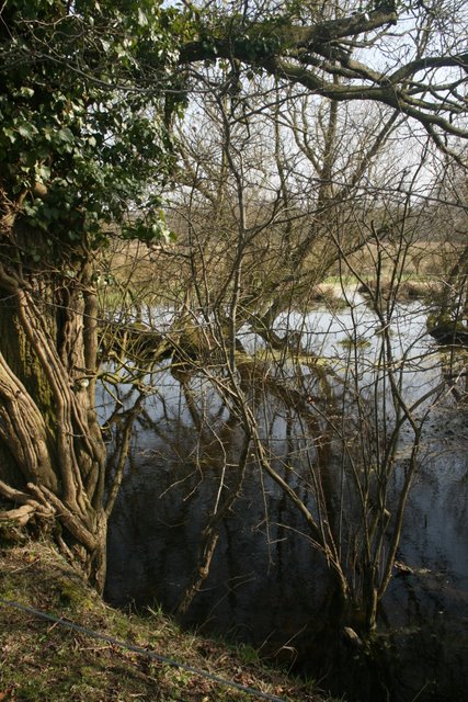 Pond beside the Pingo Trail
