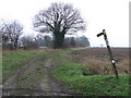 Footpath Sign On The wonk