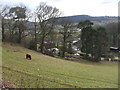 Looking down on Castle Mill Farm