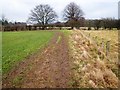 Footpath near East Angrove