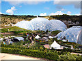 SX0454 : Eden Project; gardens and Humid Tropical Biome by David Dixon