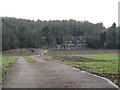 Track to Sidelands Cottages