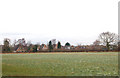 Looking north across a field to Montague Road