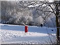 Great Sankey Linear Park