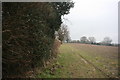 Footpath along the hedge south of Pierce Barn