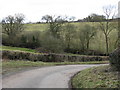 Hillside By Upton Brook