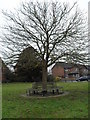 Circular seat on the green at Oakhanger