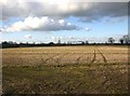 Fields near Summerfields Farm