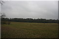 Field north of the footpath to The Slade