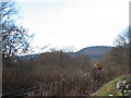 Train crossing the bridge over Alness River