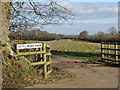 Access to Little Beare Farm