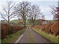 Country Lane At Bankhead Of Tinwald