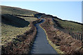 Road along the ridge