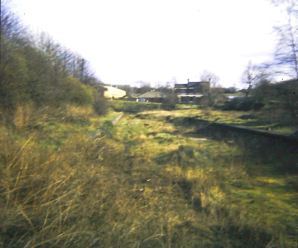 Halesowen Station (remains) © Michael Westley :: Geograph Britain And ...