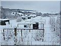 Allotments, Hindon