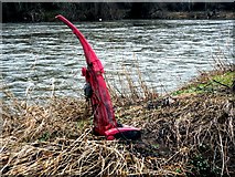 NT7032 : Spring Cleaning on the River Teviot by Iain Lees