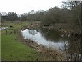 Boldre, Lymington River