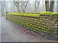 Moss covered wall near Annesley church