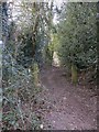 Bridleway off Bacon Lane