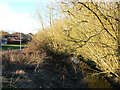 River Ray feeder and Sparcells, Swindon