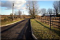 Road leading to Unthank House, Brechin