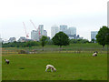 Mudchute Farm, Isle of Dogs