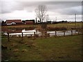 Pond in Tame Bridge