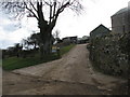 Path to the coastal footpath at Berry Camp