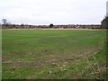 Unexpected green space: the ex-Civil Service Sports Ground