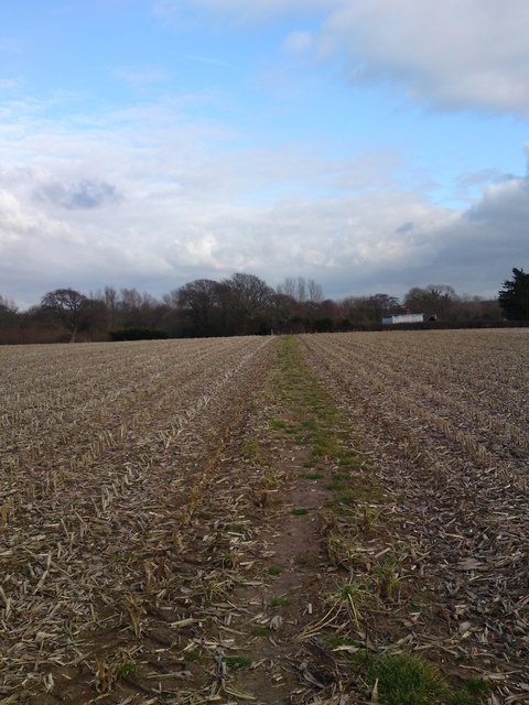 Public footpath over a crop field from the B3058 to Lymore lane
