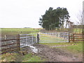 Bridleway, Redesdale Riding Centre