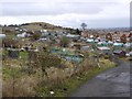 Allotments, Tunstall Hills