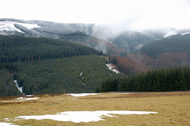 Glentress Forest from South Knowe