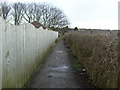 Path to Harewood Avenue