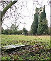 The ruined church of All Saints - two graves remain