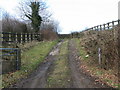 Start of muddy footpath from the A361/A399 junction