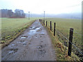 Track north of Annesley Village