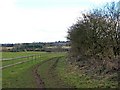 Track near Hartlebury Common