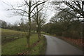 Bridleway to Crippenden Manor