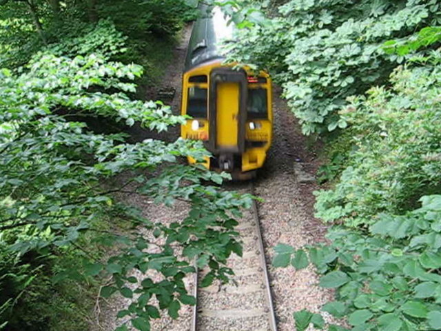 Train approaching Croyard Road bridge, Beauly