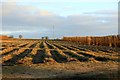 Stubble field near Barton