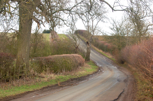Looking north on the lane from the A425 to Flecknoe