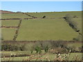 Fields across the valley east of Burridge