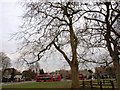 The recently extended bus terminus at The Green Man on Putney Heath