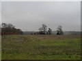 Farmland south-west of Holy Cross, Binsted