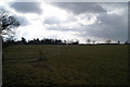 Field at Great Canfield Park