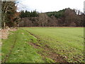 Farmland at East Haugh, Dilston