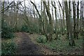 Bridleway in Bridlegate Copse