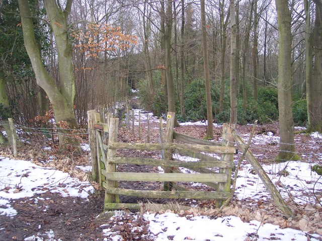The High Weald Landscape Trail enters the Wilderness