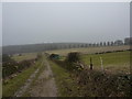 Track from Storth Lodge to Storth House